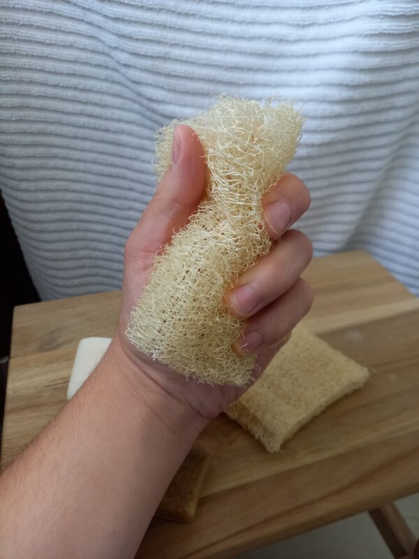 Éponge Loofah Agapanthe